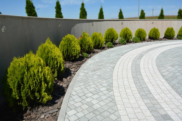 Reasons to Select Us for Your Driveway Paving Requirements in West Deland, FL